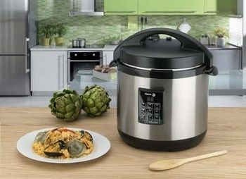 Fagor Multi-Use Pressure Cooker review